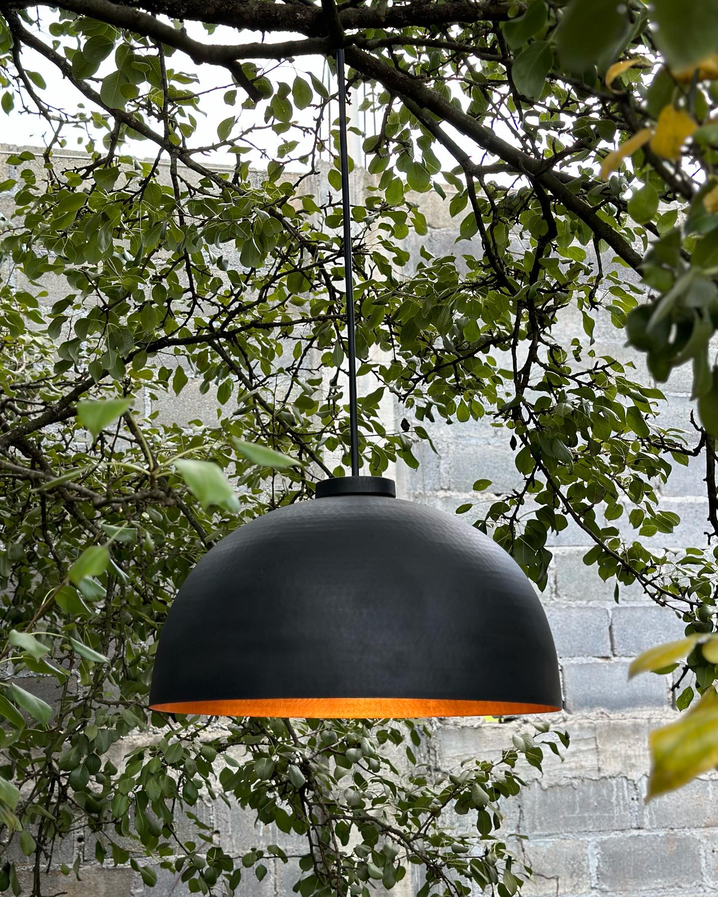Black Dome Pendant Lamp