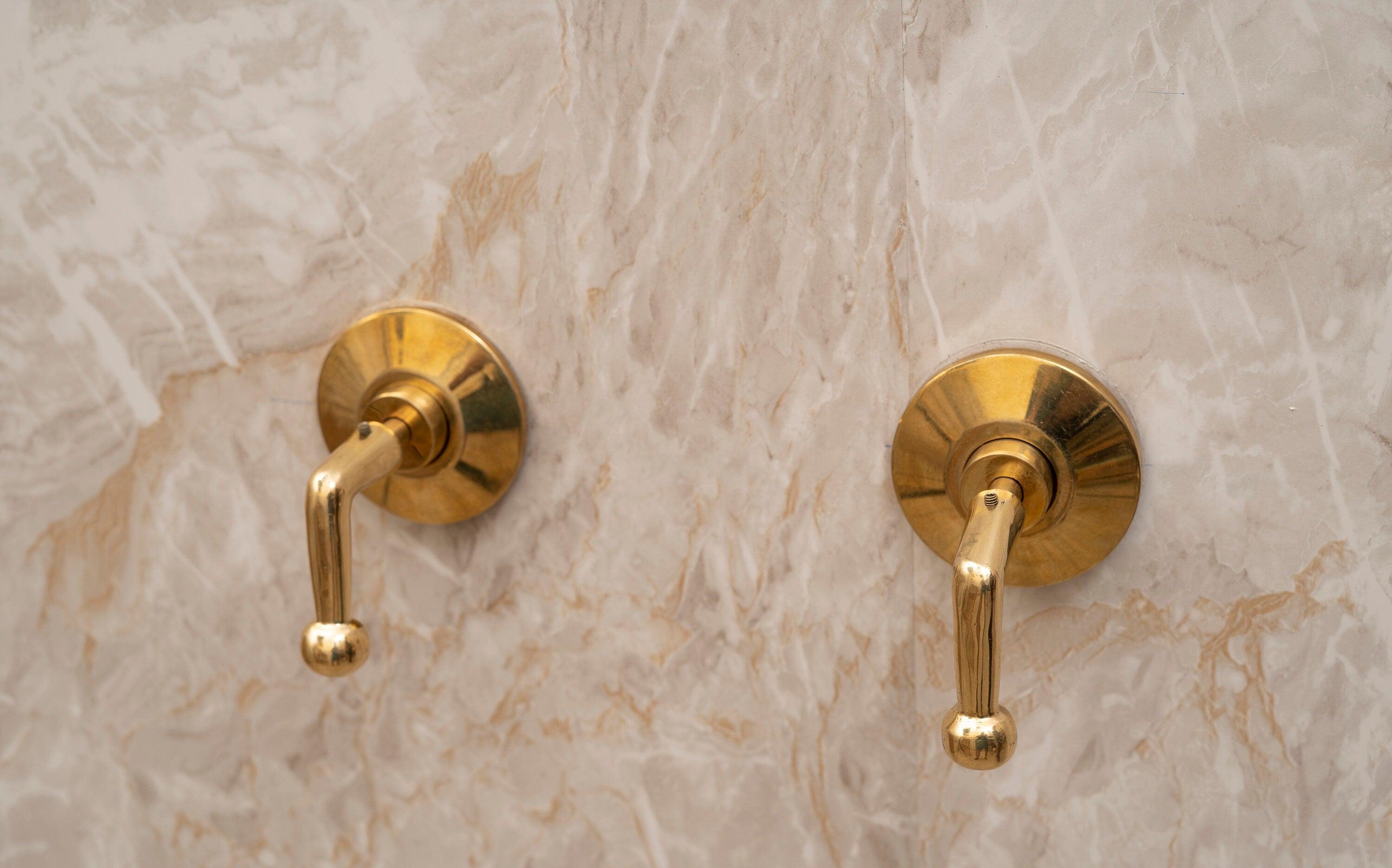 Unlacquered Brass Shower System with Handles & Rough-In Valve
